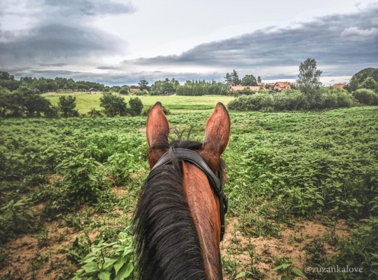 Stajnia Lipowo 45 Agroturystyka ?v=1.0